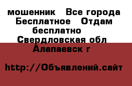 мошенник - Все города Бесплатное » Отдам бесплатно   . Свердловская обл.,Алапаевск г.